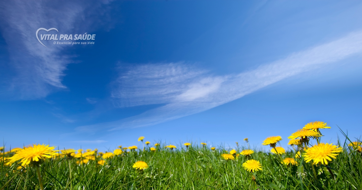Equinócio de Primavera 2025: 7 Formas de Melhorar Seu Bem-Estar Naturalmente